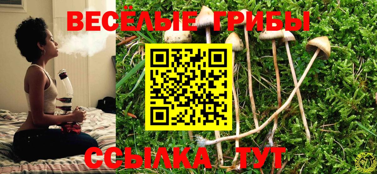 Первоуральск  Псилоцибиновые грибы мухоморы  Вход с VPN 